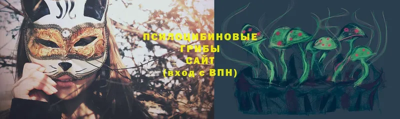 Псилоцибиновые грибы Psilocybe  Комсомольск 